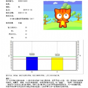 兒童智能發育篩查測驗DST量表系統軟件及評估工具的使用